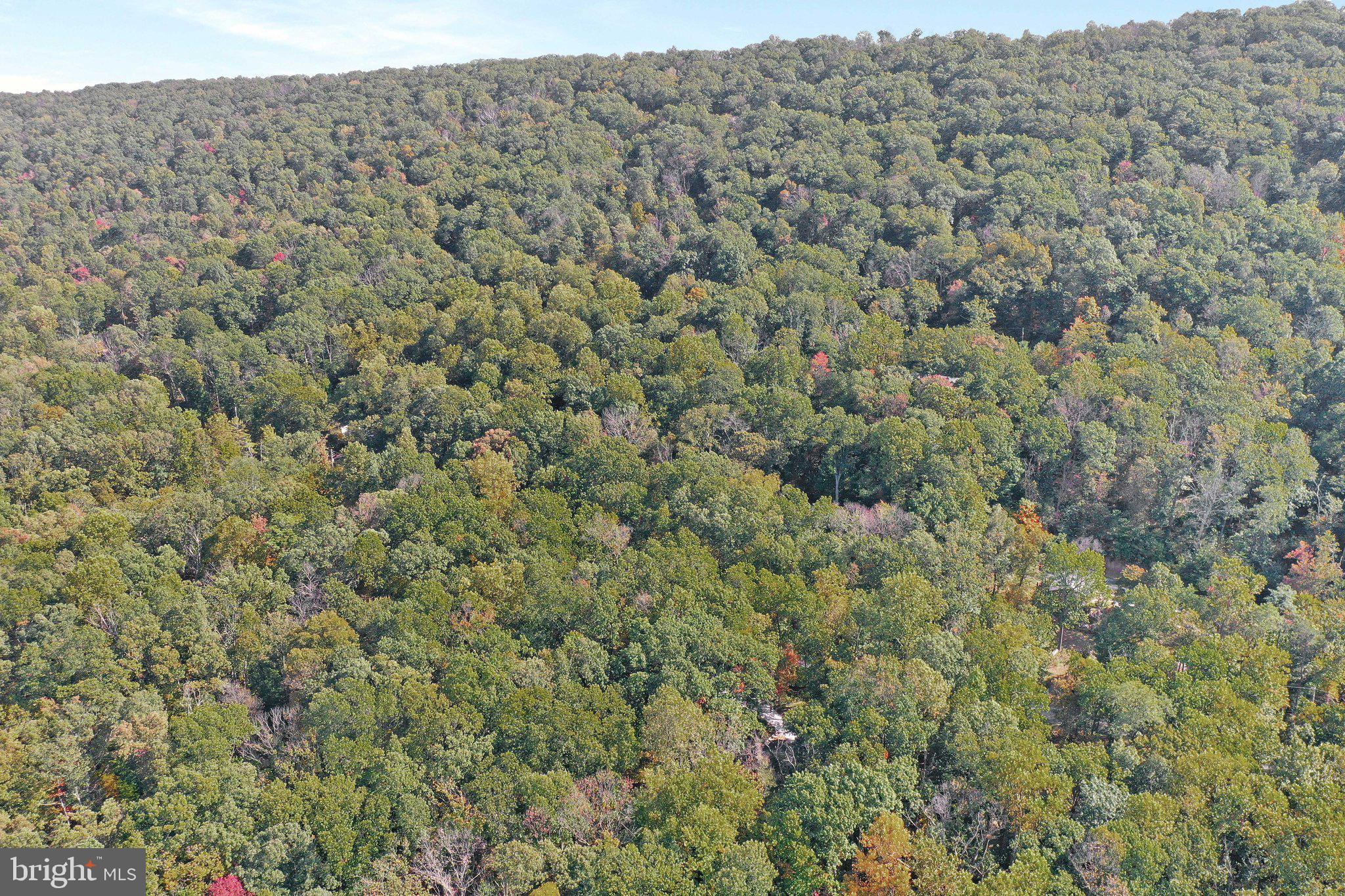 686 Nancy Jack Road Gerrardstown, WV 25420 - Photo 48 of 55 Gallery Image 48