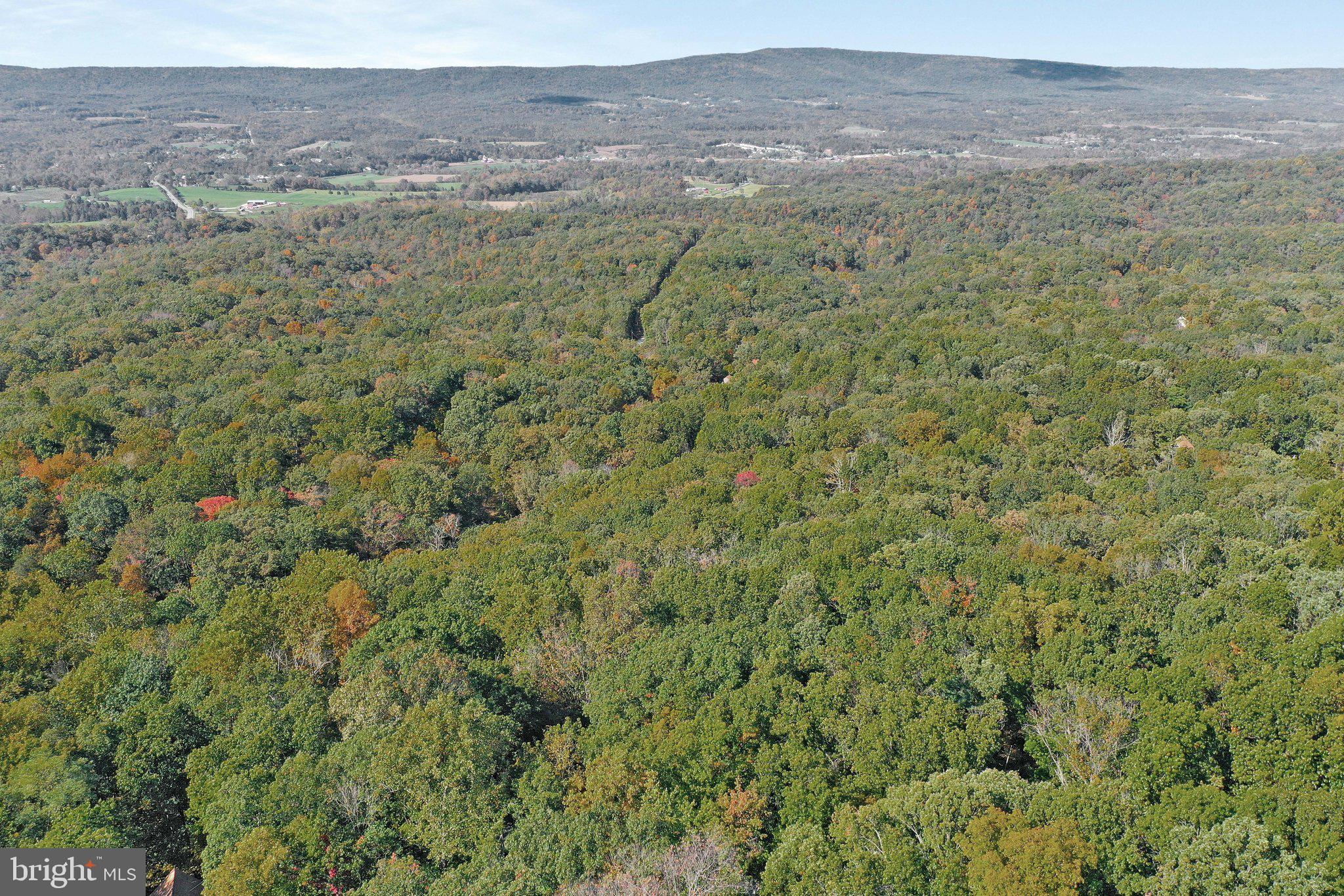 686 Nancy Jack Road Gerrardstown, WV 25420 - Photo 52 of 55 Gallery Image 52