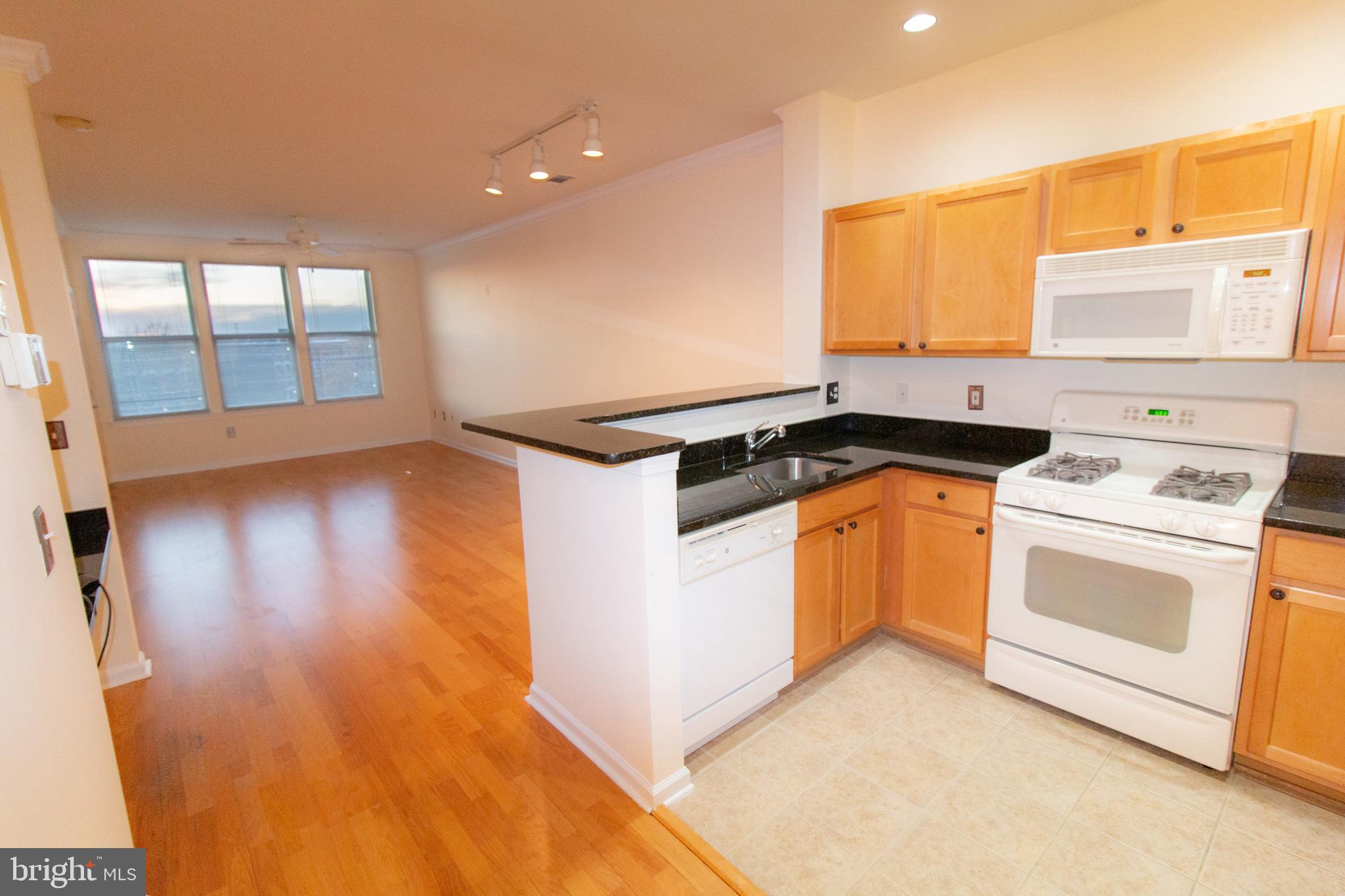 12000 Market Street, Unit 377 Reston, VA 20190 - Photo 3 of 40