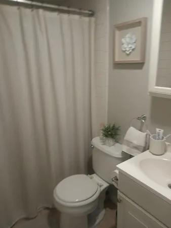 a white toilet sitting next to a shower curtain
