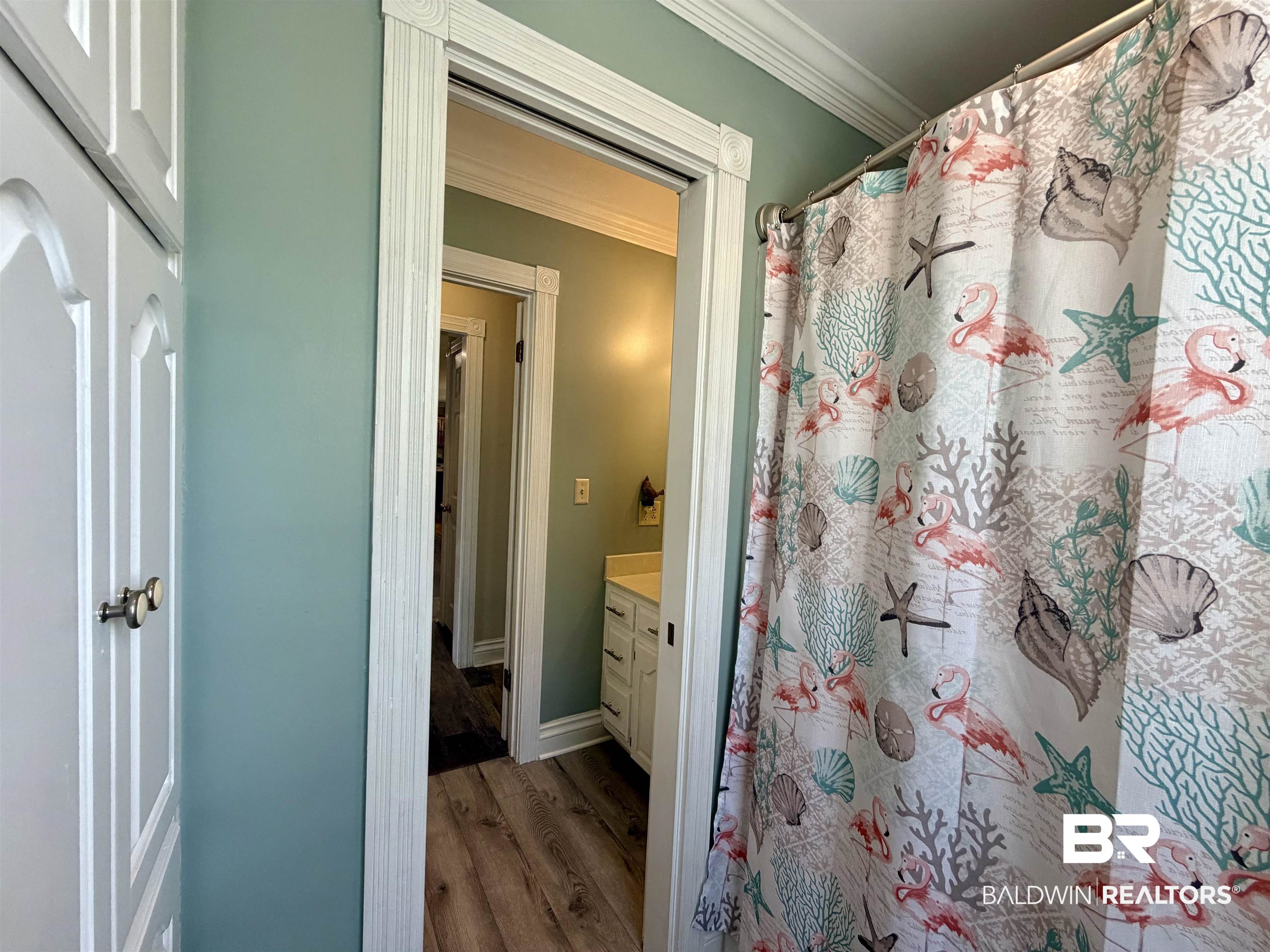 2944 Appleton Road Brewton, AL 36426 - Photo 26 of 65 Bathroom featuring crown molding, light wood finished floors, vanity, and a shower with shower curtain