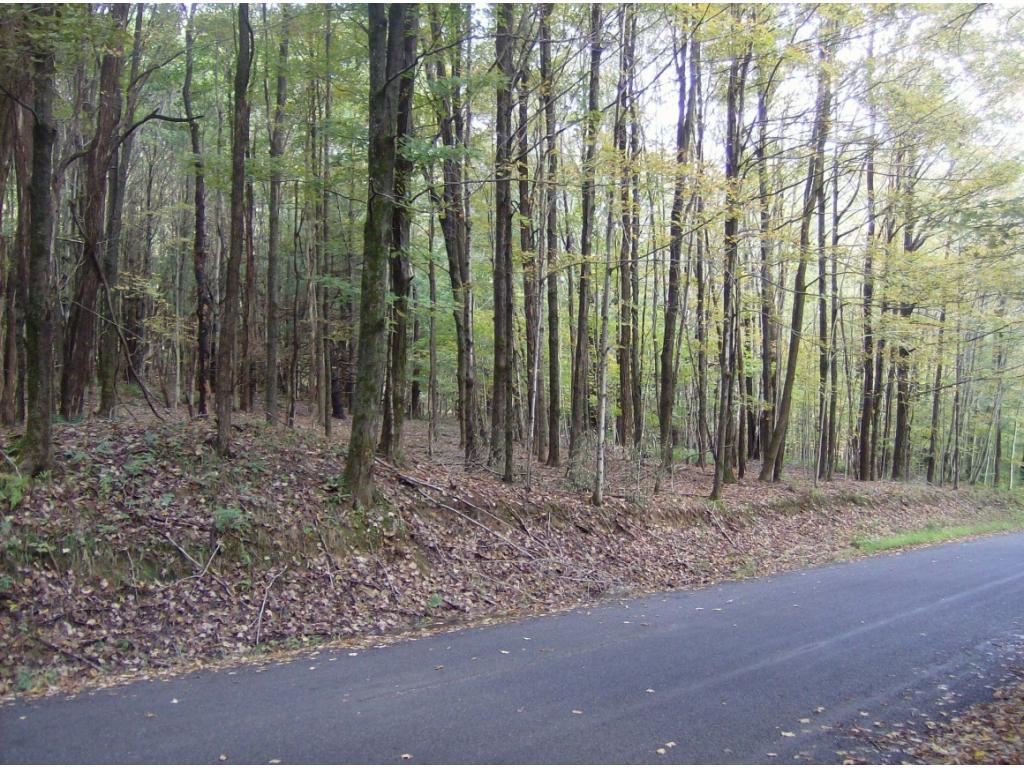 369 Hawkins Road Sanford, NY 13813 - Photo 1 of 11