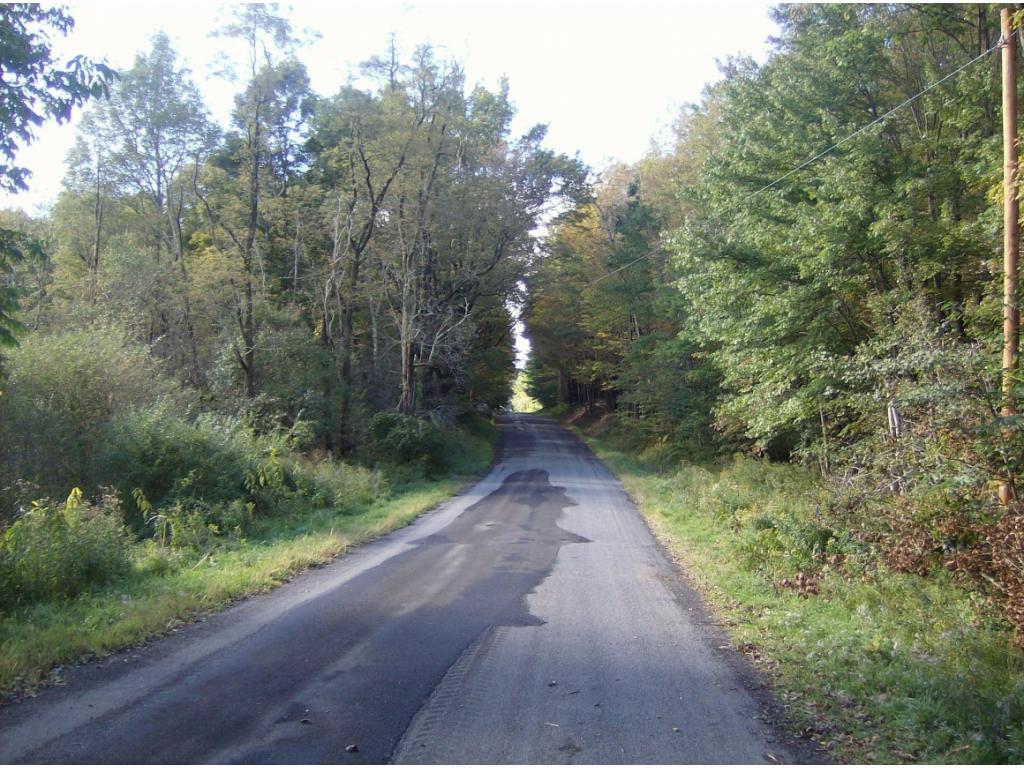 369 Hawkins Road Sanford, NY 13813 - Photo 4 of 11