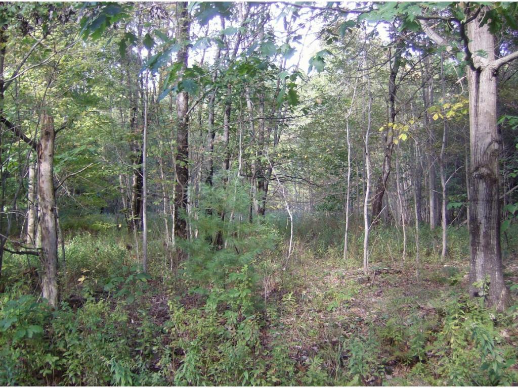 369 Hawkins Road Sanford, NY 13813 - Photo 10 of 11