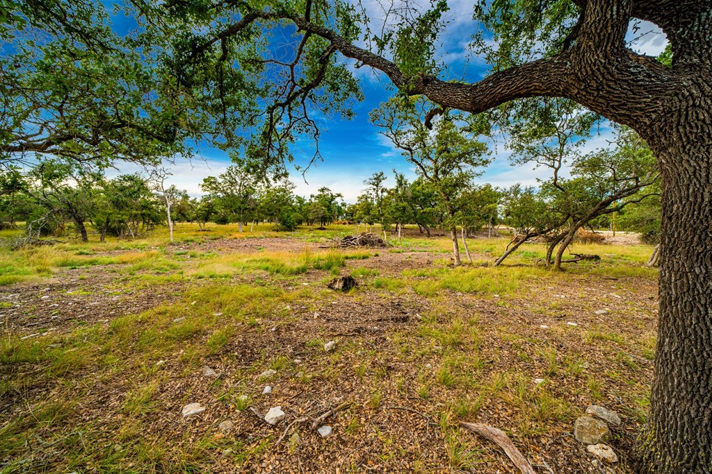 Lot 22 Reservation Road, Unit 22 Harper, TX 78631 - Photo 4 of 6 Gallery Image 4