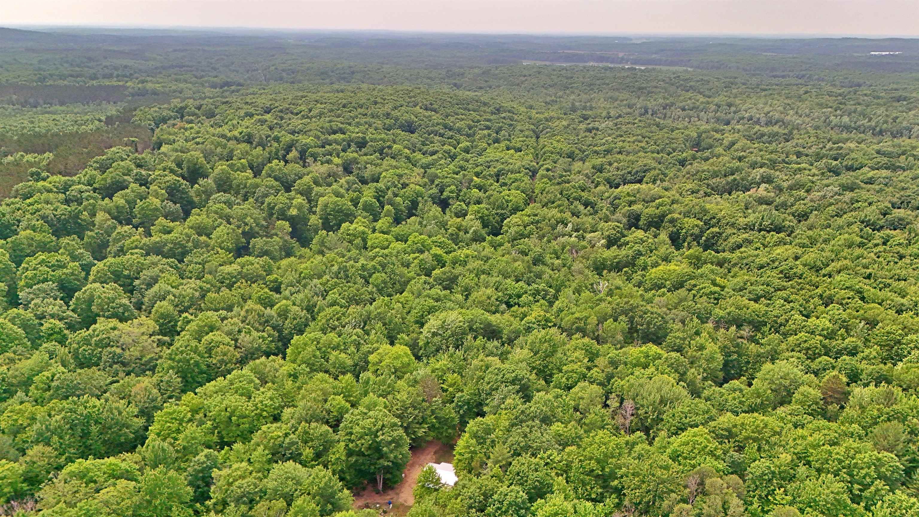 Vl 00 Cherry Hill Road Fife Lake, MI 49633 - Photo 13 of 26