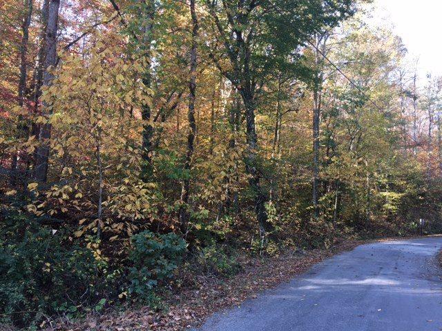 2458 Lower Cove Loop Dayton, TN 37321 - Photo 5 of 8 5-2458 Lower Cove Loop