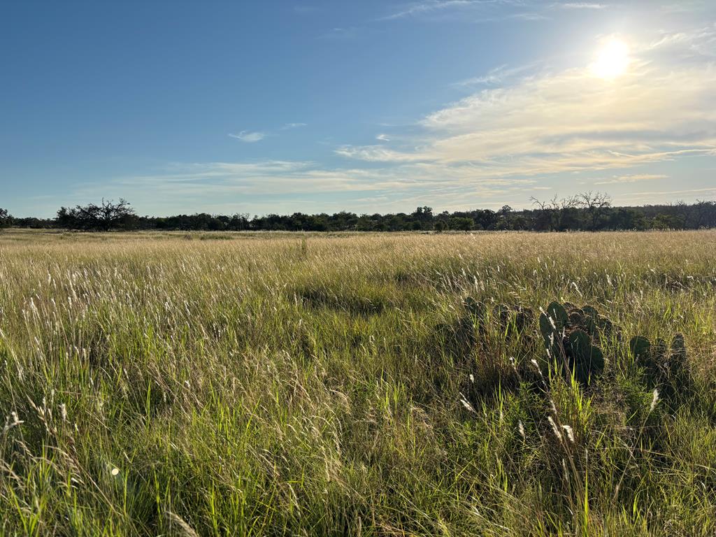a view of a lake from a yard