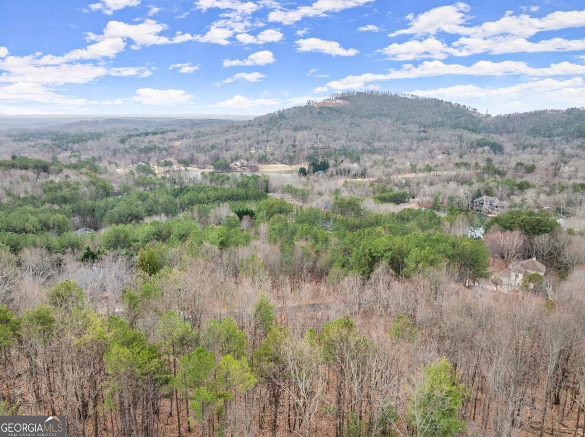 0 Yates Circle, Unit 461 Clarkesville, GA 30523 - Photo 2 of 9 a view of a green field