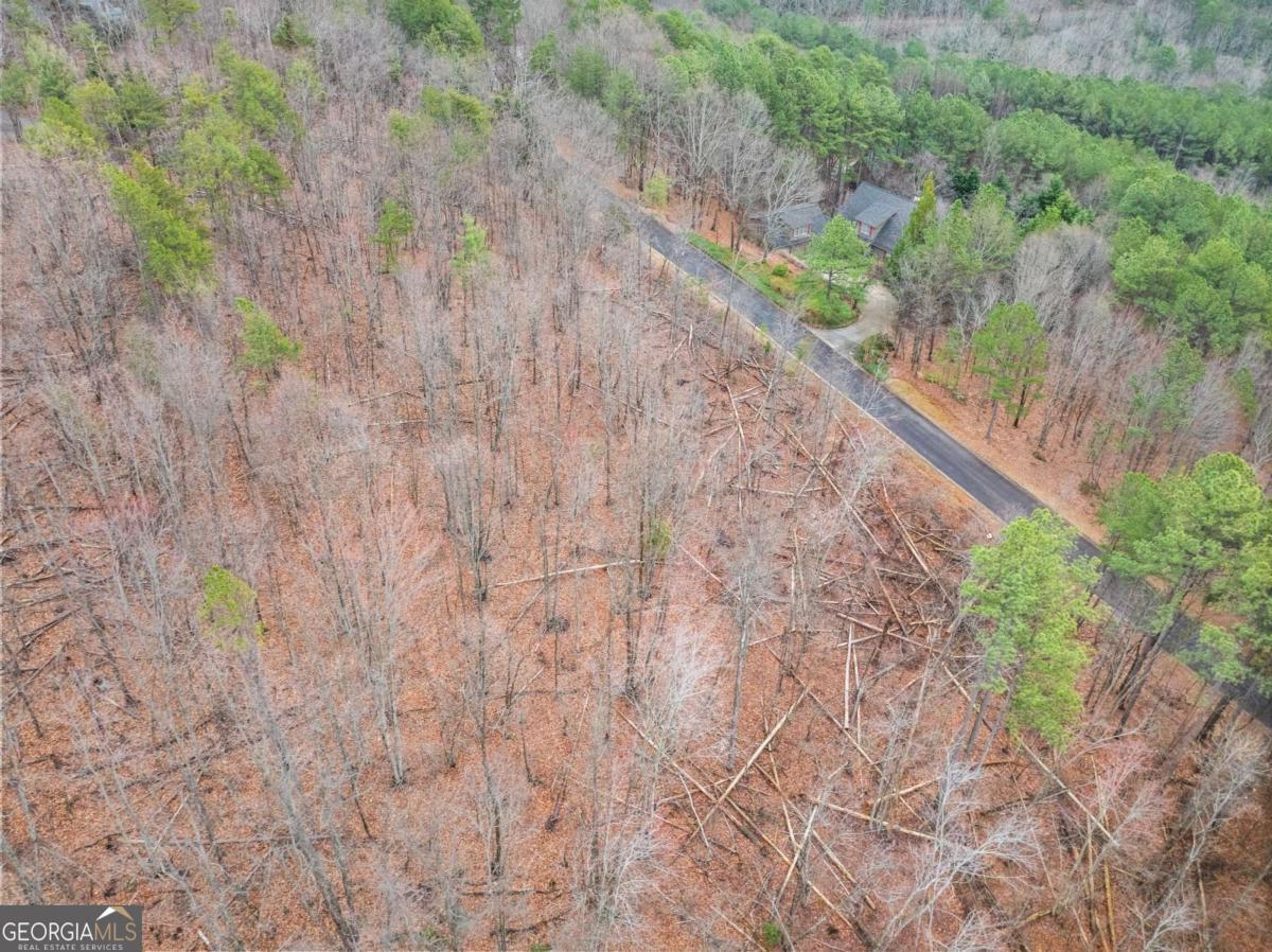 0 Yates Circle, Unit 461 Clarkesville, GA 30523 - Photo 3 of 9 a view of a yard with a tree