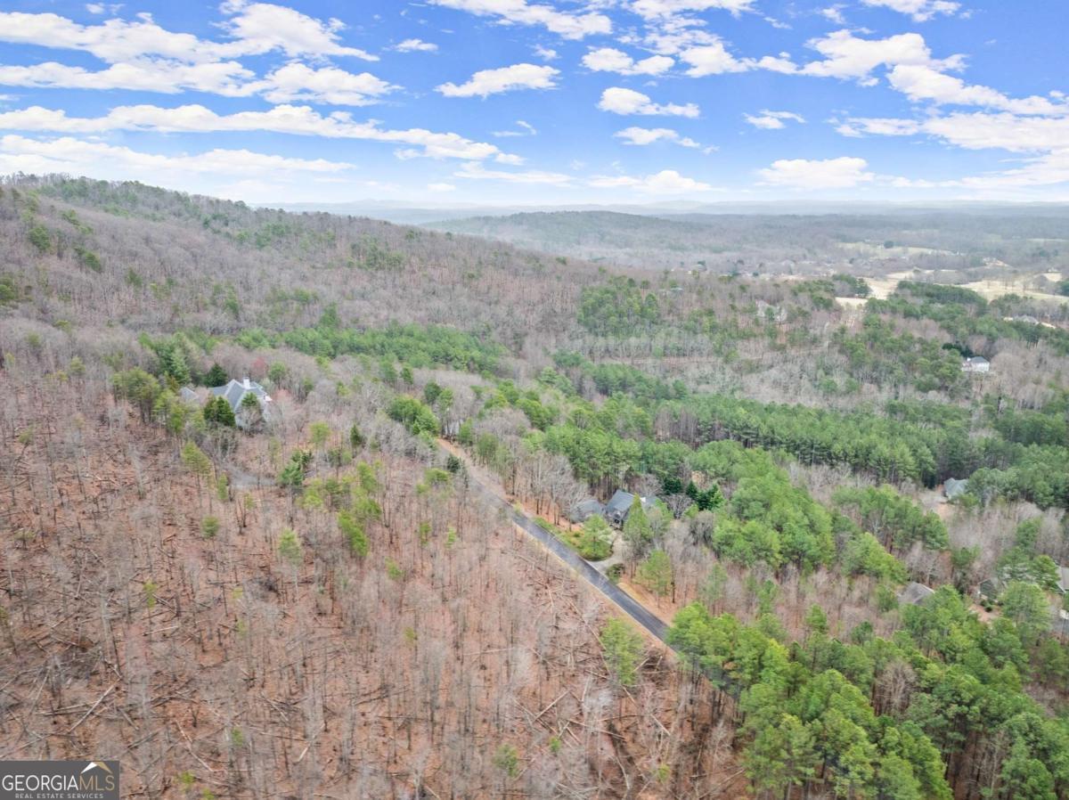 0 Yates Circle, Unit 461 Clarkesville, GA 30523 - Photo 5 of 9 a view of a city with lush green forest