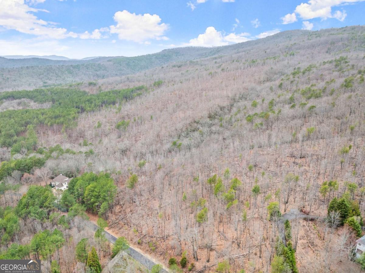 0 Yates Circle, Unit 461 Clarkesville, GA 30523 - Photo 6 of 9 a view of a dry yard with trees in the background