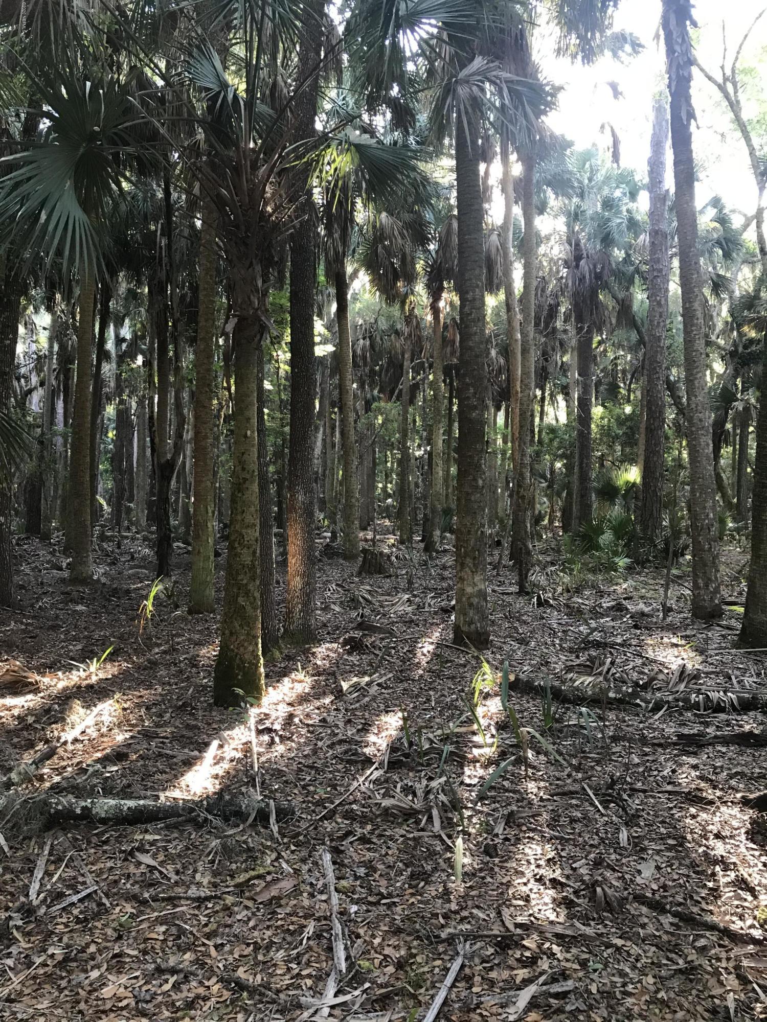134 Anhinga Road Georgetown, FL 32139 - Photo 11 of 12 Drayton Island Property