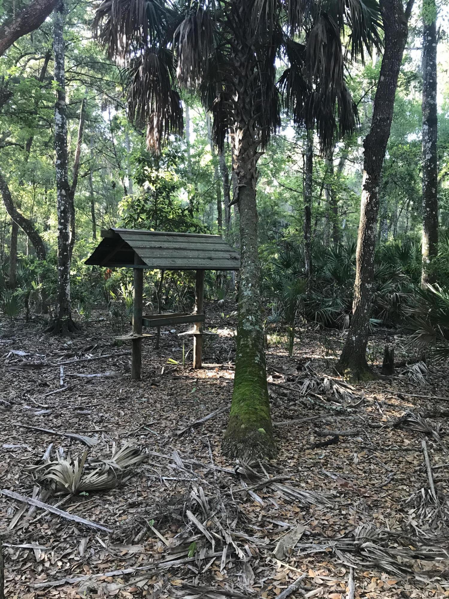 134 Anhinga Road Georgetown, FL 32139 - Photo 5 of 12 Drayton Island Property