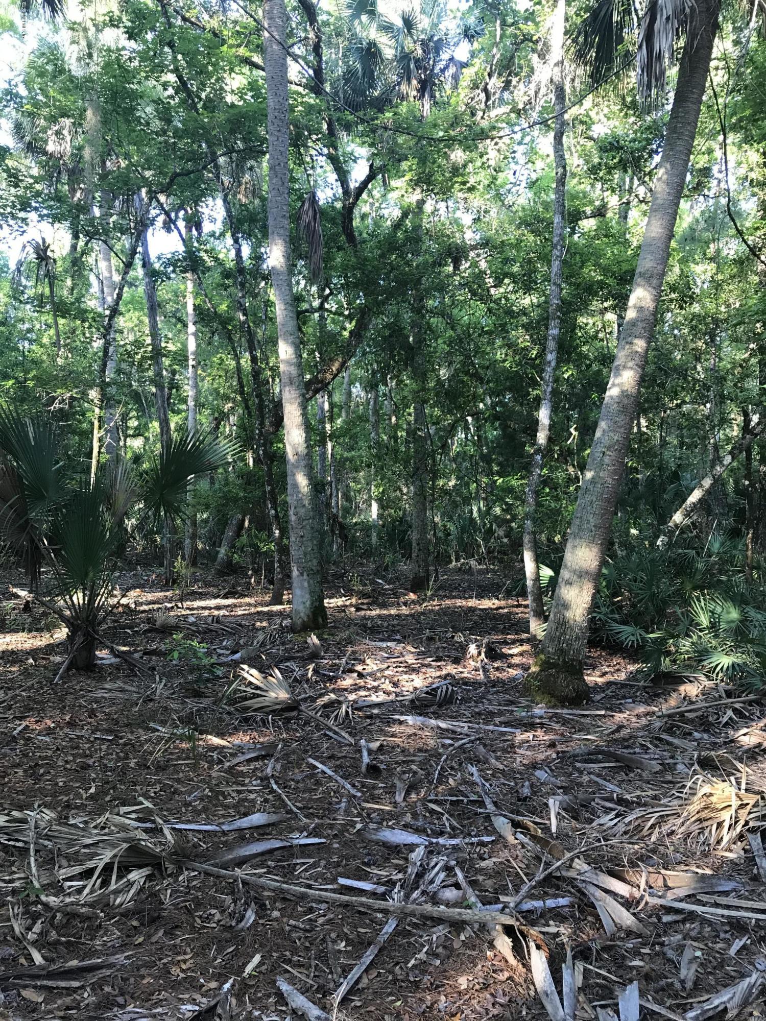 134 Anhinga Road Georgetown, FL 32139 - Photo 7 of 12 Drayton Island Property