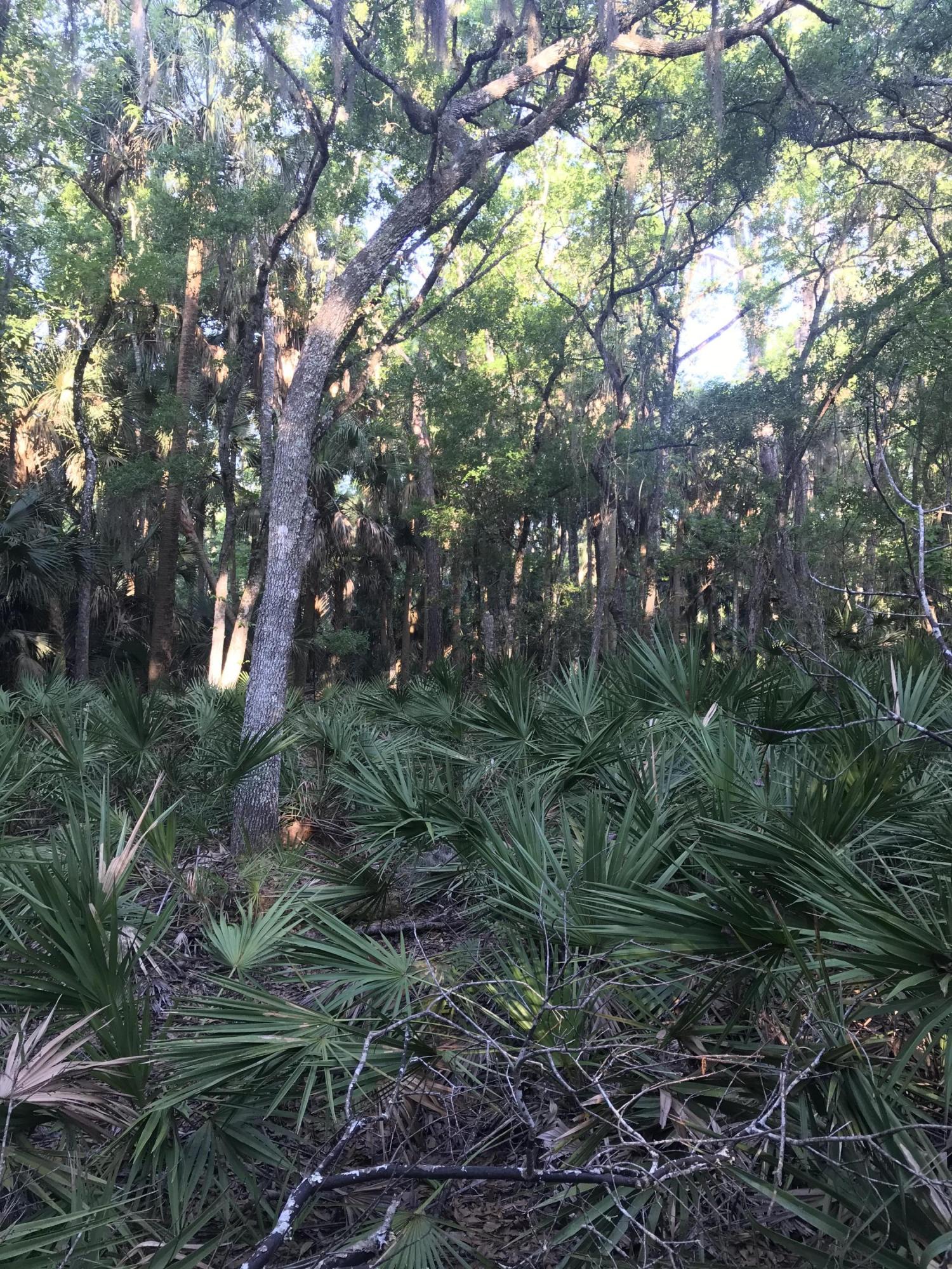 134 Anhinga Road Georgetown, FL 32139 - Photo 10 of 12 Drayton Island Property