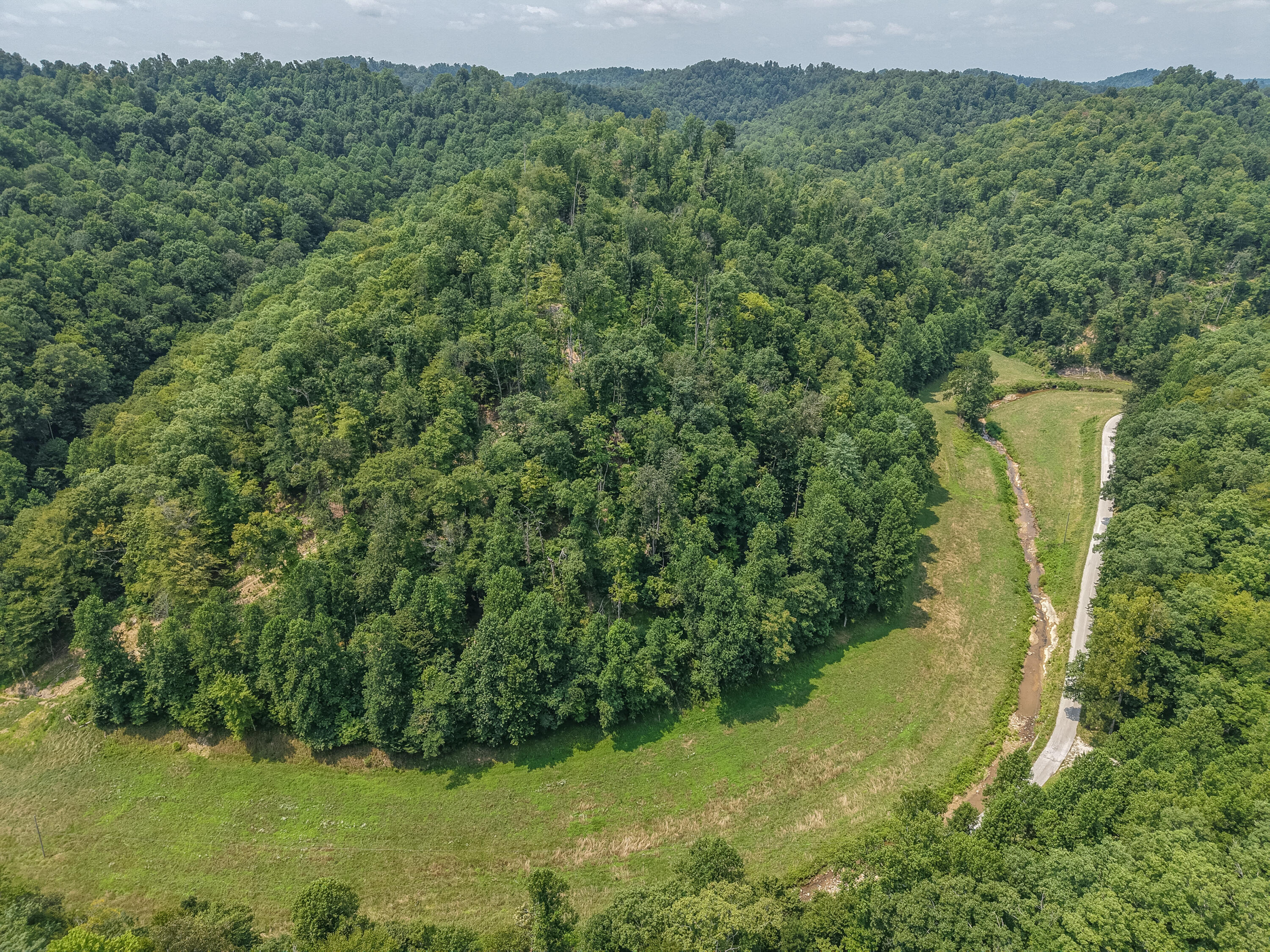 3750 Hunting Creek Road Rousseau, KY 41366 - Photo 7 of 52 DJI_20260727141308_0103_D