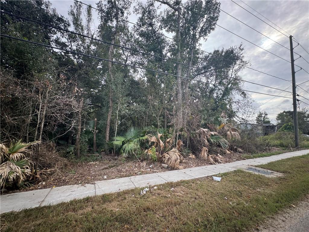 0 Jean Lafitte Boulevard Lafitte, LA 70067 - Photo 7 of 8