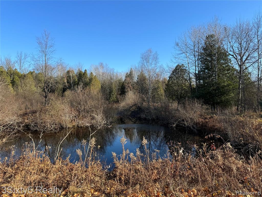 7710 West 10 Mile Road Bitely, MI 49309 - Photo 5 of 11