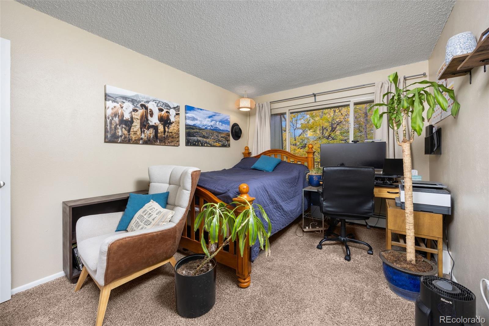 3771 Quail Street Wheat Ridge, CO 80033 - Photo 15 of 25 a living room with furniture and a window