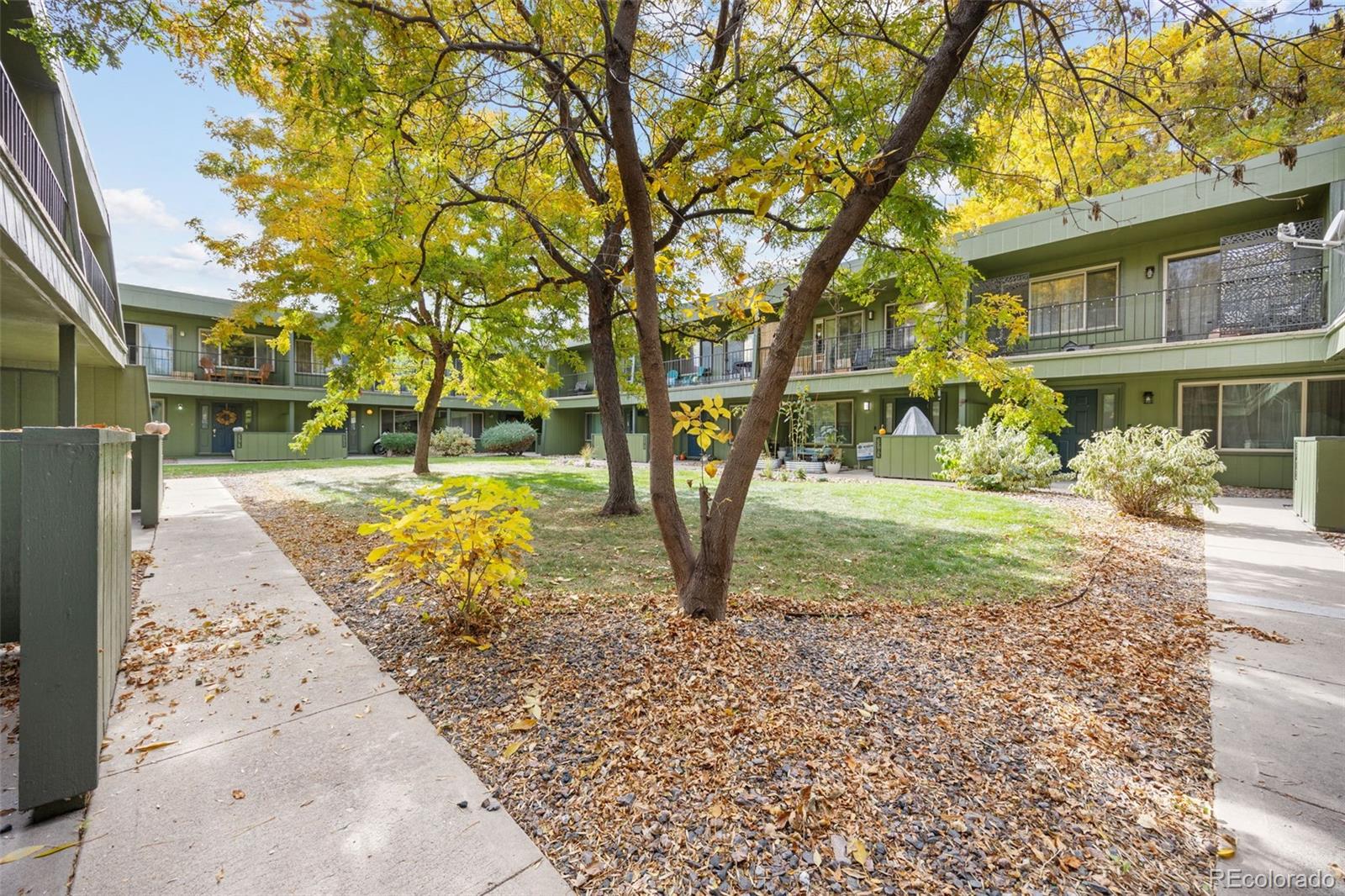 3771 Quail Street Wheat Ridge, CO 80033 - Photo 19 of 25 a view of a yard with a house