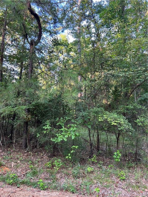 250 Albert Rambo Road Bentley, LA 71407 - Photo 5 of 6 Gallery Image 5