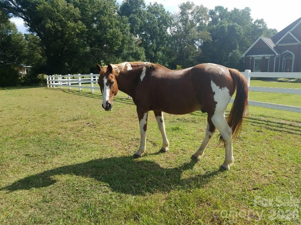 5432 Highway 218 Monroe, NC 28110 - Photo 29 of 48 a garden view with a seating space