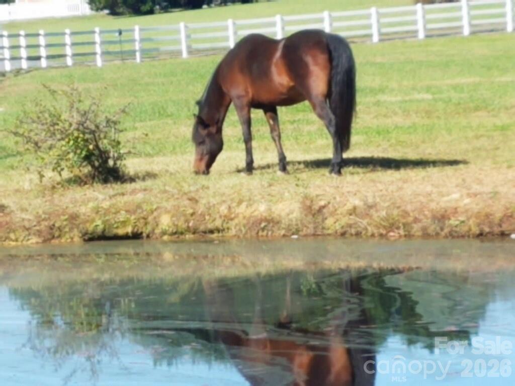5432 Highway 218 Monroe, NC 28110 - Photo 48 of 48 a view of a lake from a yard