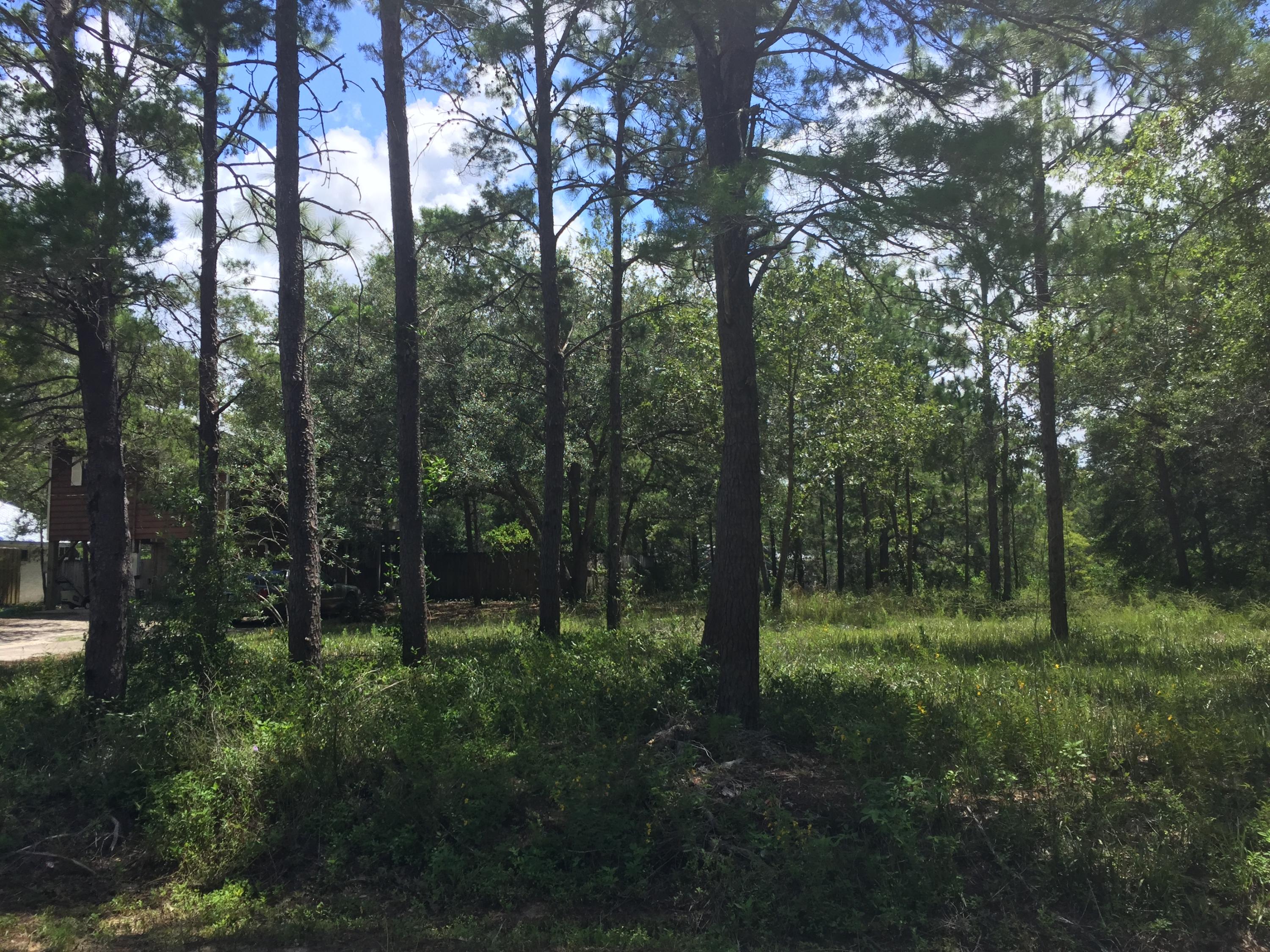 Lot 20 Ricker Avenue Santa Rosa Beach, FL 32459 - Photo 1 of 9 Gallery Image 1