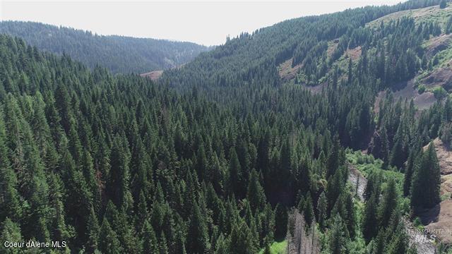 Nka Lolo Creek Road Weippe, ID 83553 - Photo 1 of 1 NKA Lolo Creek Rd Lot 1