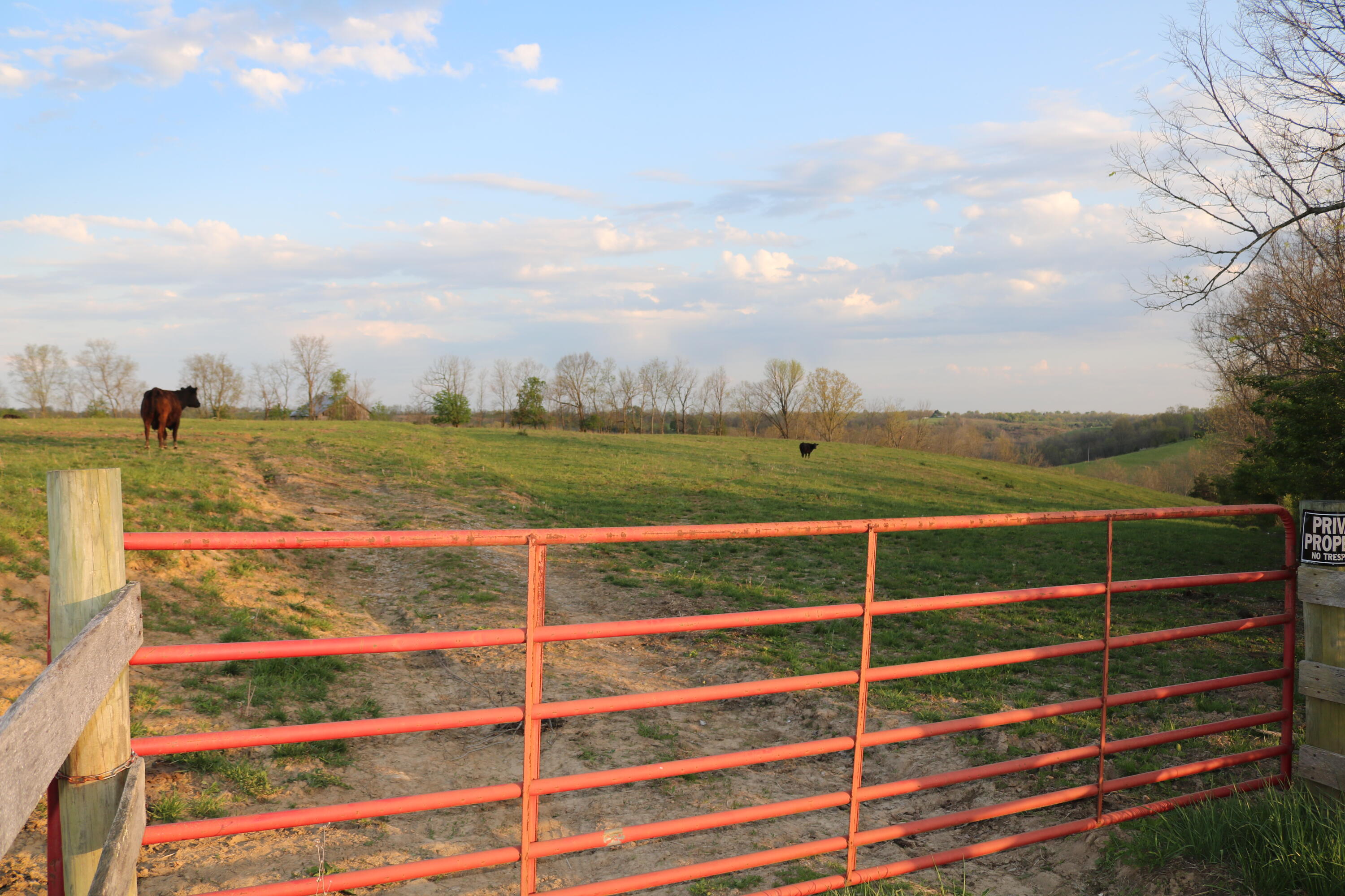 1 A Bethel Road Moorefield, KY 40350 - Photo 9 of 20 IMG_6042