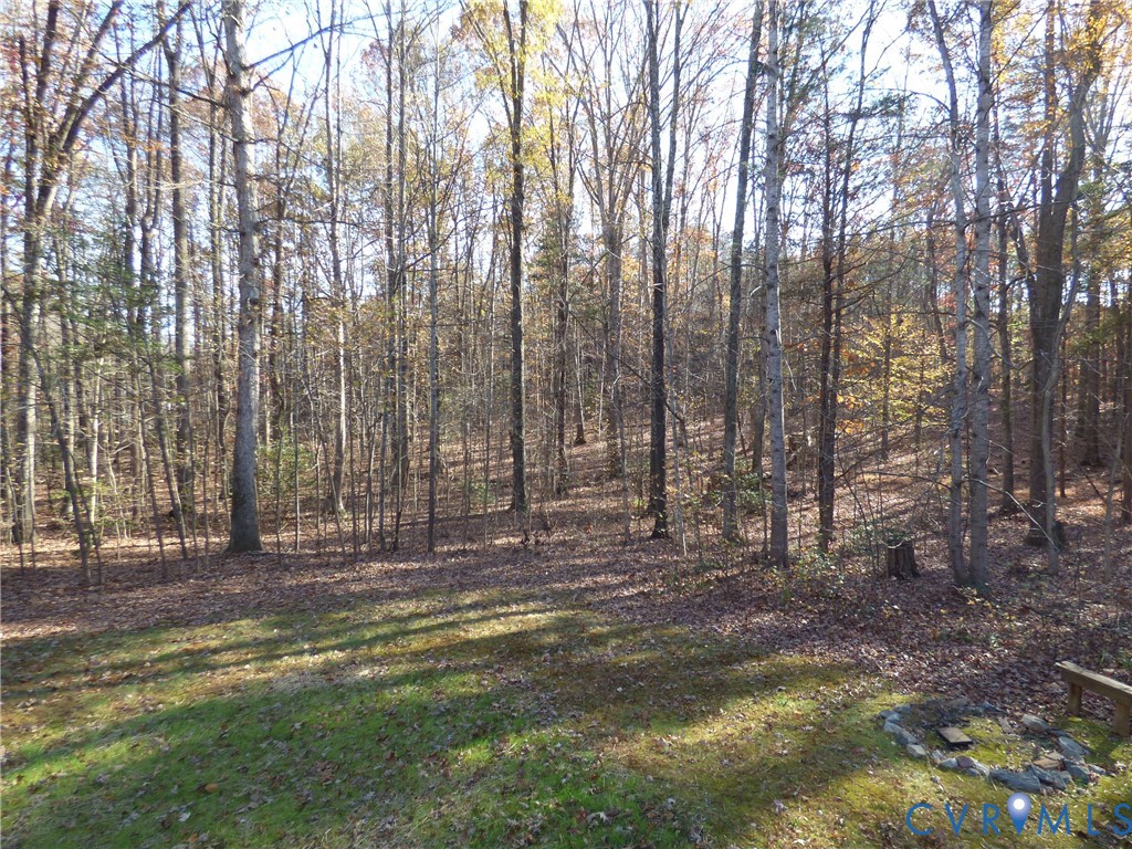 2620 Academy Road Powhatan, VA 23139 - Photo 39 of 49 a view of outdoor space with deck and tree
