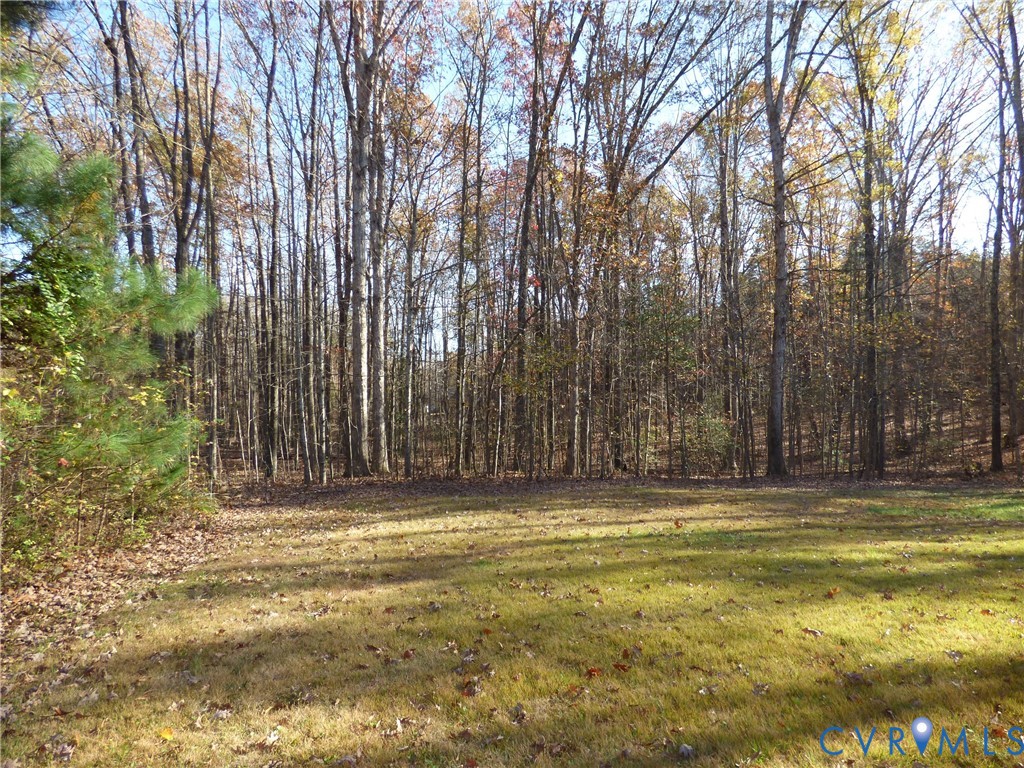 2620 Academy Road Powhatan, VA 23139 - Photo 41 of 49 a view of swimming pool with large trees