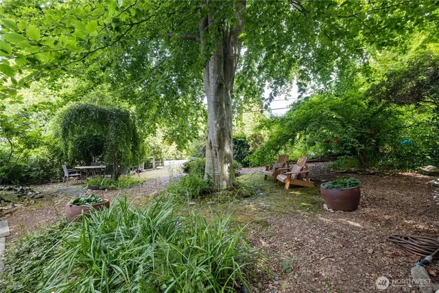 a view of a backyard with plants and a patio