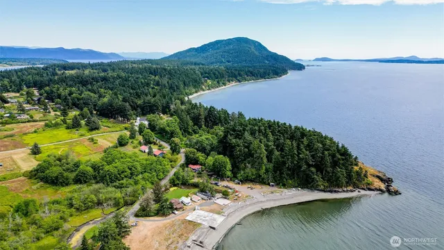 a view of a backyard with plants and lake view