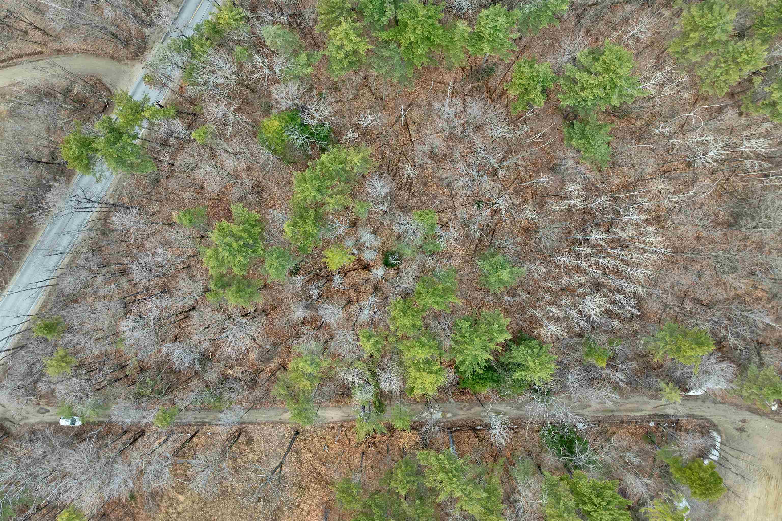 280 Chickville Road Ossipee, NH 03864 - Photo 30 of 32