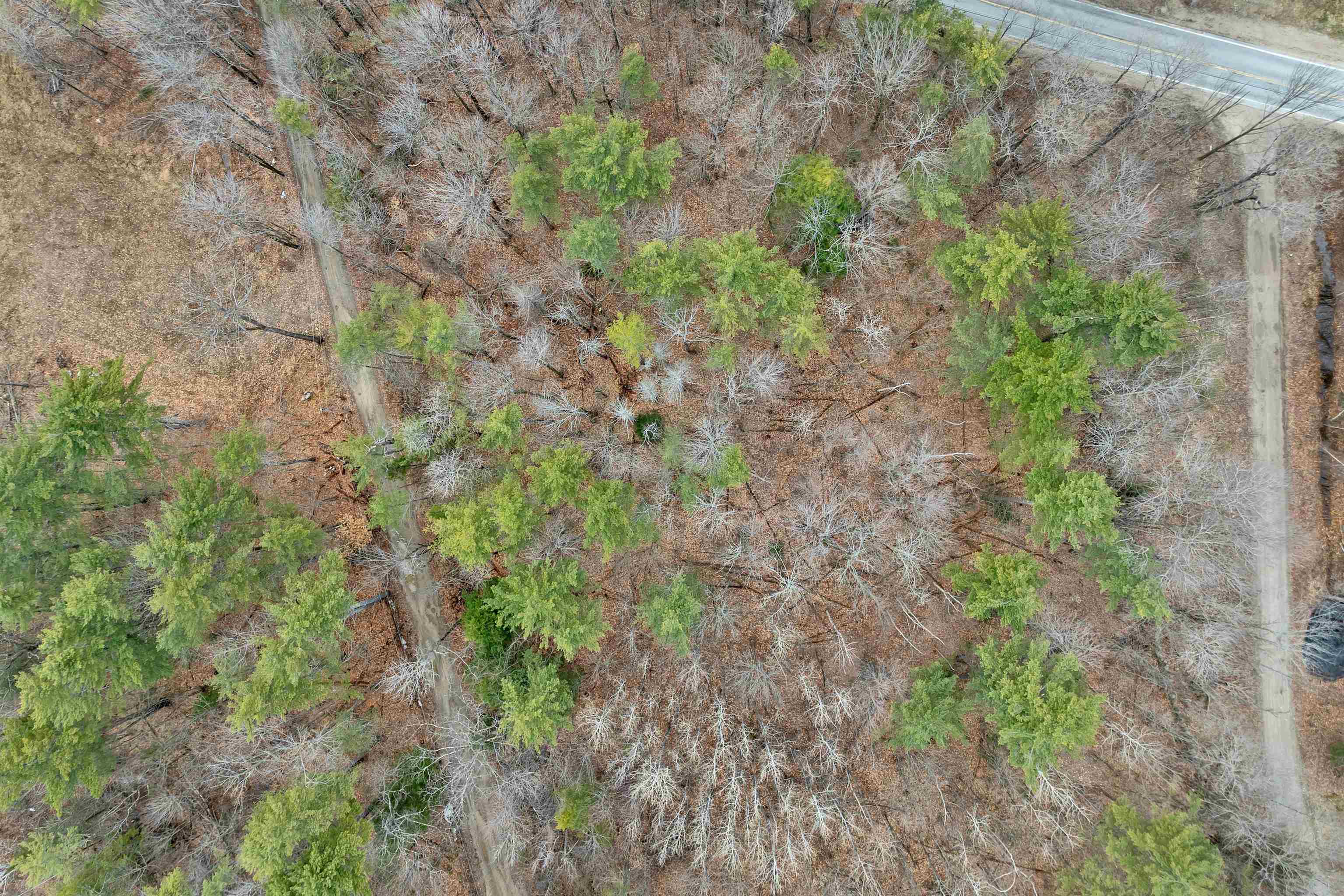 280 Chickville Road Ossipee, NH 03864 - Photo 31 of 32