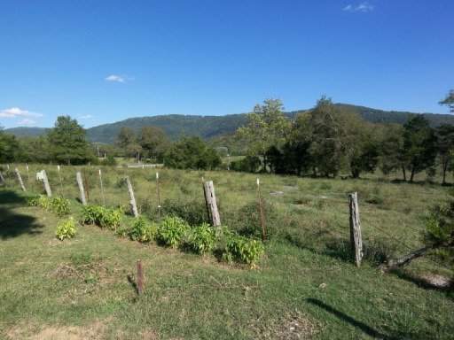 4335 Lowes Gap Road Pikeville, TN 37367 - Photo 3 of 32 Additional Photo