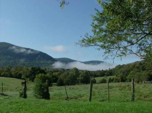 4335 Lowes Gap Road Pikeville, TN 37367 - Photo 5 of 32 Additional Photo