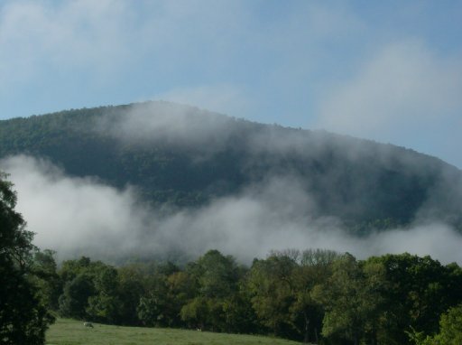 4335 Lowes Gap Road Pikeville, TN 37367 - Photo 6 of 32 Additional Photo