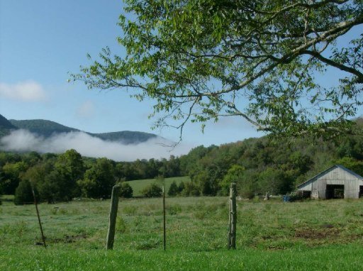 4335 Lowes Gap Road Pikeville, TN 37367 - Photo 7 of 32 Additional Photo