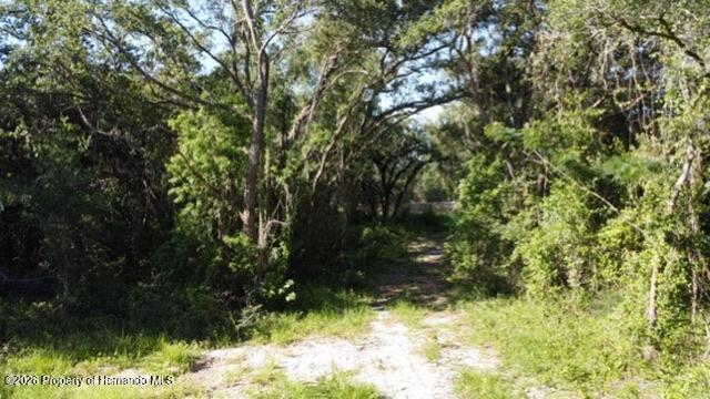 0 Little Ranch Road Spring Hill, FL 34610 - Photo 6 of 25
