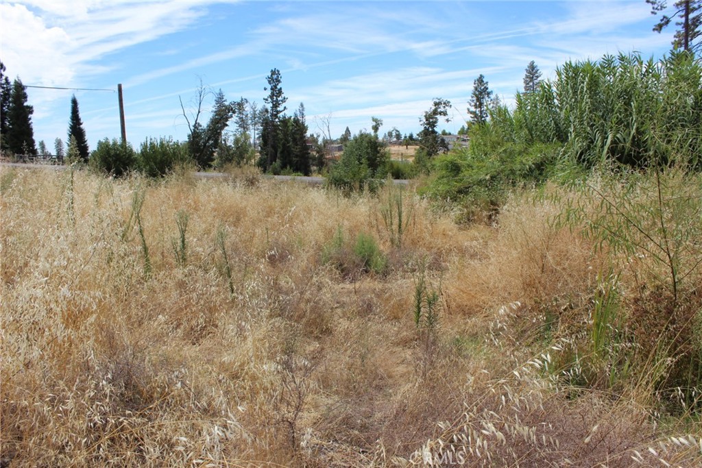 1289 Pearson Road Paradise, CA 95969 - Photo 19 of 23 Gallery Image 19