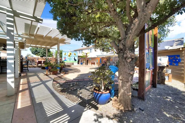 a view of a patio with chairs and potted plants