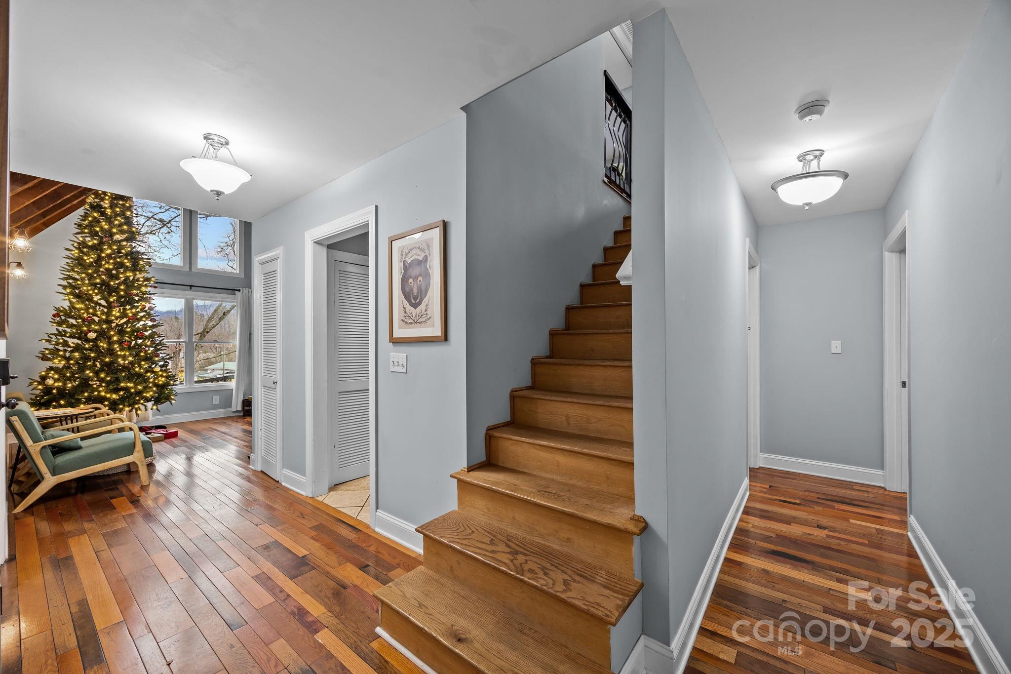 540 Toot Hollow Road Bryson City, NC 28713 - Photo 22 of 47