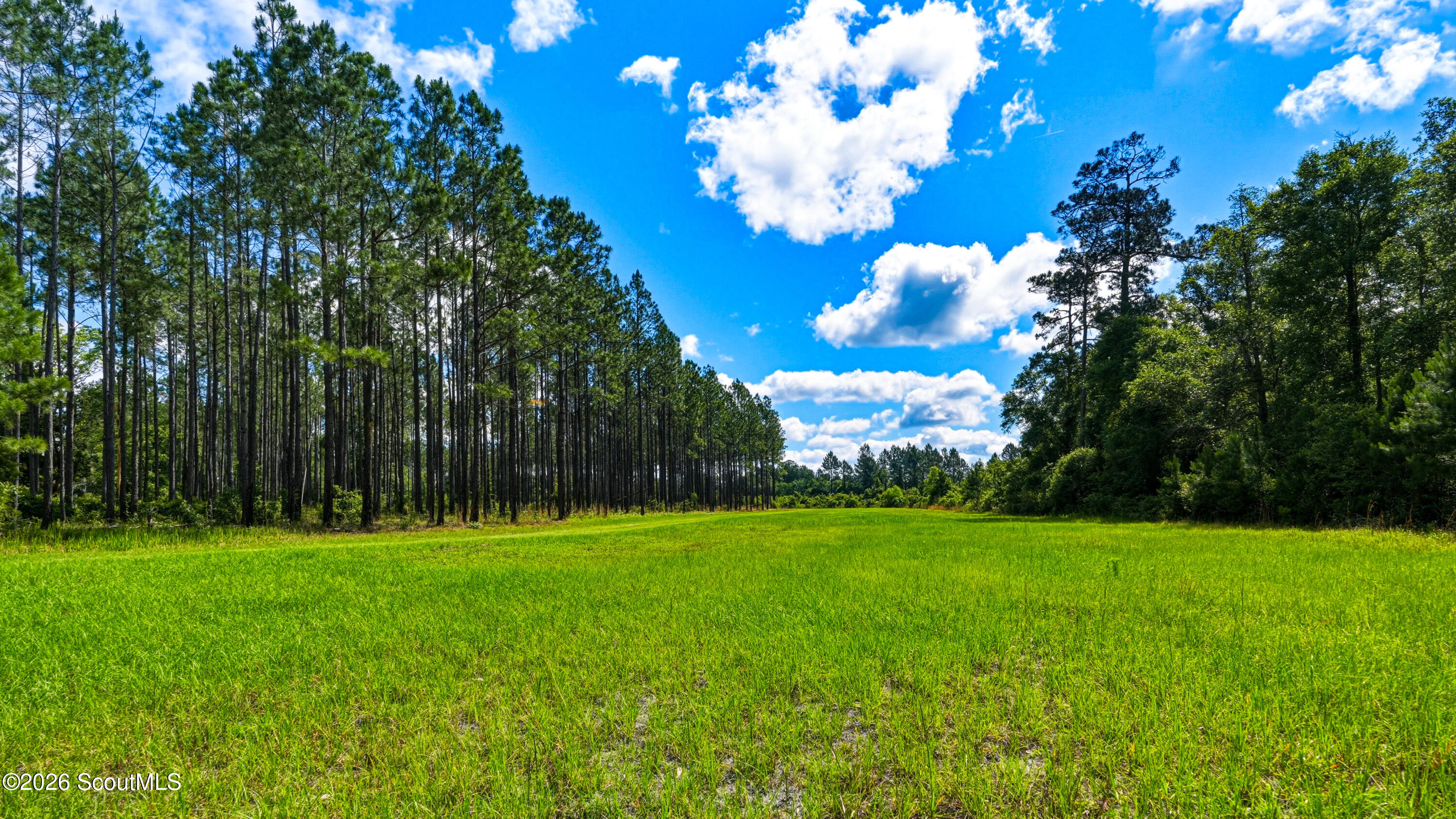 88 Minnesota Road Screven, GA 31560 - Photo 49 of 52