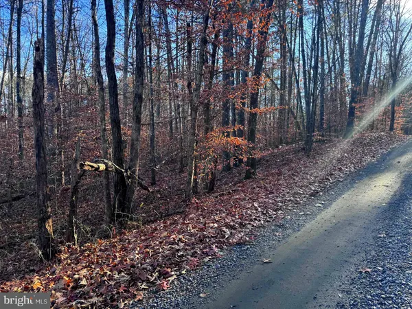$116,900 | 0 Buggy Lane, Rochelle, VA 22738