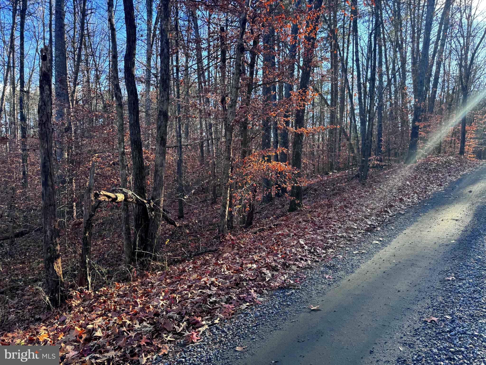 0 Buggy Lane Rochelle, VA 22738 - Photo 11 of 11 a backyard of a house with lots of green space