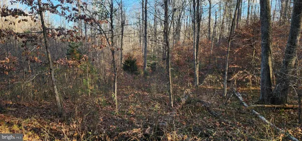 a view of backyard with green space