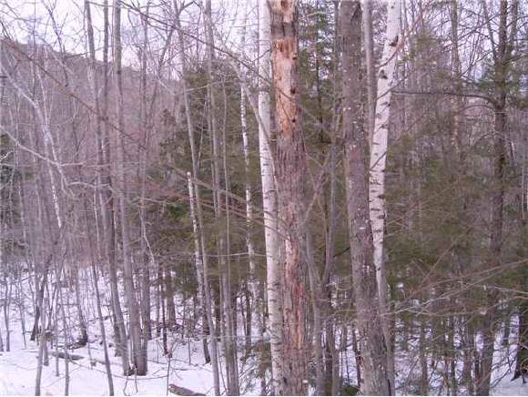 199 Cumberland Road Gilford, NH 03249 - Photo 1 of 1